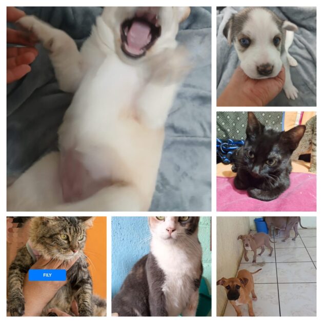 WhatsApp Image 2025-03-07 at 10.45.46