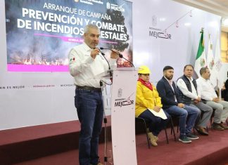 Suman cinco incendios forestales extintos en Michoacán