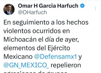 REPONEN FUERZAS FEDERALES ATAQUES ARMADOS EN MICHOACÁN; SEIS DELINCUENTES ABATIDOS: HARFUCH