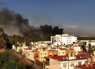 Brigadistas estatales y municipales atienden incendio forestal en Epitacio Huerta