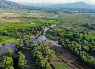 Lago de Pátzcuaro renace con 5 nuevos manantiales en Urandén: Compesca