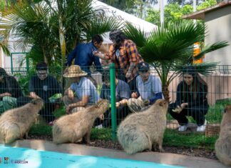 Escápate al zoológico y vive un verano inolvidable; conoce su horario de temporada
