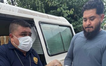 Rescata FGE a cachorro en situación de abandono en Morelia