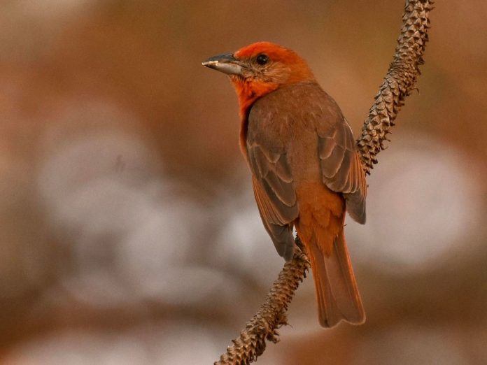 5d1baea7-ac09-486e-96f2-cf29cdd205c5