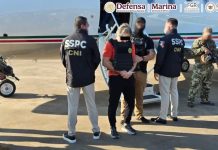 Detienen en Paraguay a Hernán Bermúdez Requena, exsecretario de Seguridad de Tabasco y presunto líder de ‘La Barredora’ y es entregado a México