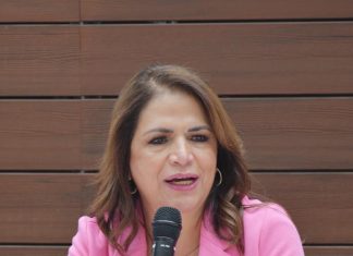 Fabiola Alanís: Caen remesas por redadas contra migrantes, pero crece solidaridad; llama a proteger la economía de los hogares migrantes