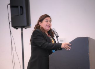 Belinda Iturbide propone ante el pleno promover inclusión laboral de personas con discapacidad