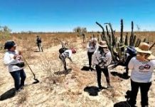 LA COSTUMBRE DEL PODER: Las madres buscadoras necesitan encontrar la vigencia de la ley, de la norma jurídica, de la Constitución y sus garantías